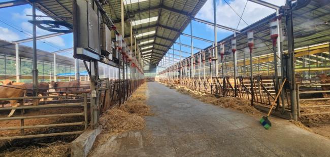 전남도, 저탄소 축산물 인증 89농가 3년 연속 전국 1위