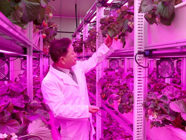 광명시, 어린이·취약계층 대상 딸기 체험 프로그램 무료 운영