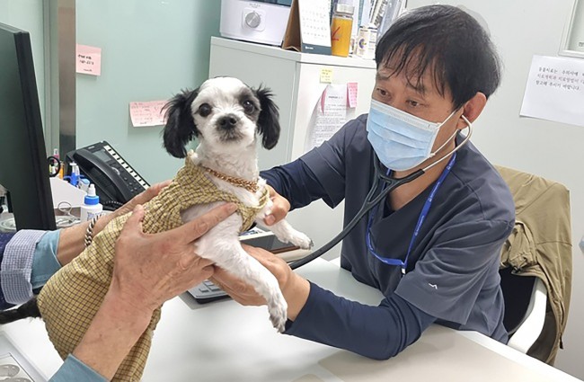 성남시립동물병원 진료 대상 '시민에 입양된 유실·유기동물'로 확대