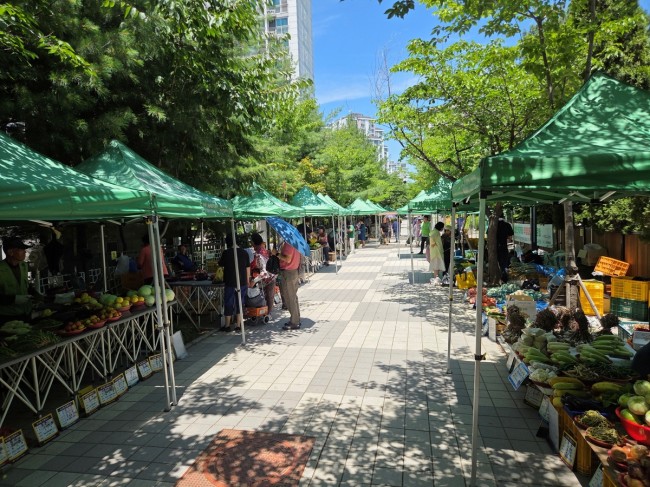 안성시, 2026년 농업인 직거래장터 참여 농가 모집