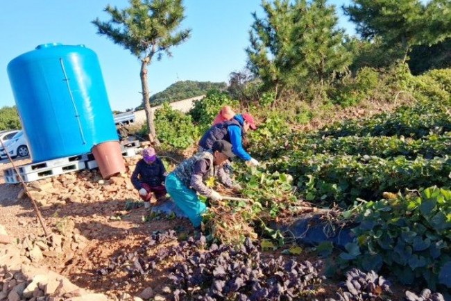 인천 옹진군, 2026년 마을개선주민일자리사업 추진