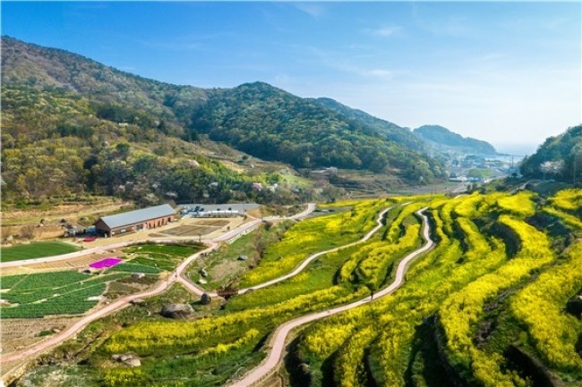 유채꽃 시즌 앞둔 '남해 파라다랑스', 카페 재오픈