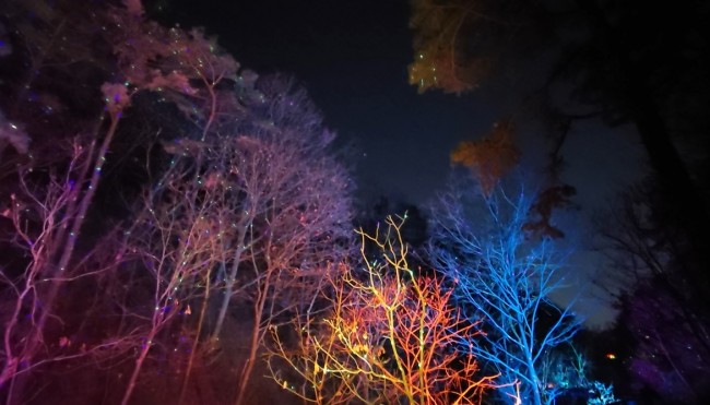 남동구, 전국 최장 '도롱뇽마을 무장애나눔길' LED 반딧불 조명 운영