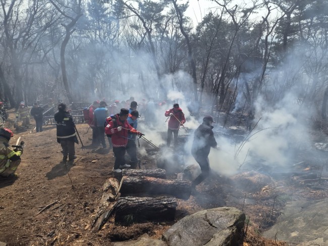 수원시, 대형산불 특별대책기간 돌입…산불 가해자는 고의·실수 불문 엄정 처벌