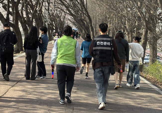 안양천 벚꽃시즌 시민 안전 최우선…금천구, 총력 대응