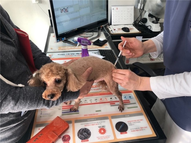 광명시, 4월 6일부터 15일까지 광견병 예방접종 지원…7천 원에 접종 가능