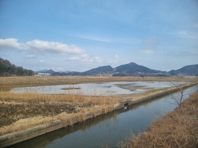 금호석유화학그룹, 2028년까지 여수 철새 서식지 복원 나선다